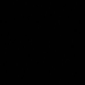 Meet your Posher, Denis